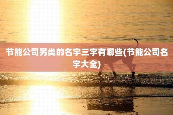 节能公司另类的名字三字有哪些(节能公司名字大全)
