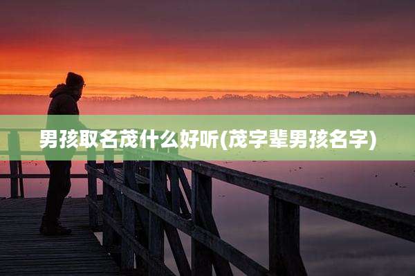 男孩取名茂什么好听(茂字辈男孩名字)