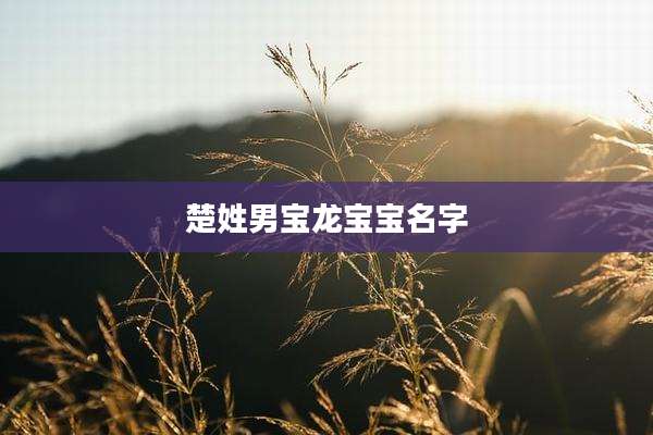 楚姓男宝龙宝宝名字