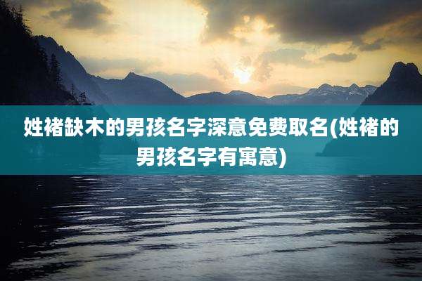 姓褚缺木的男孩名字深意免费取名(姓褚的男孩名字有寓意)