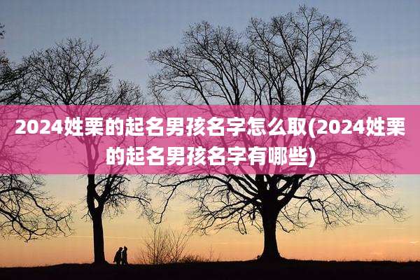 2024姓栗的起名男孩名字怎么取(2024姓栗的起名男孩名字有哪些)
