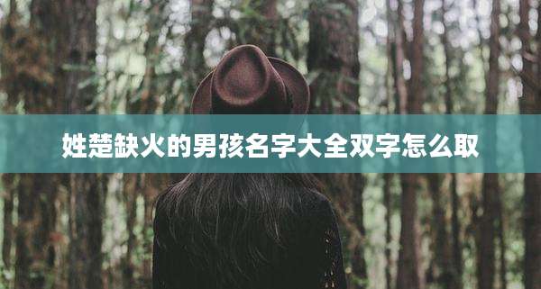姓楚缺火的男孩名字大全双字怎么取