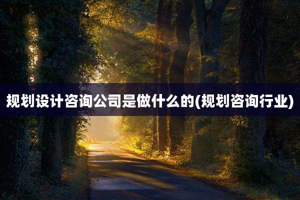 规划设计咨询公司是做什么的(规划咨询行业)