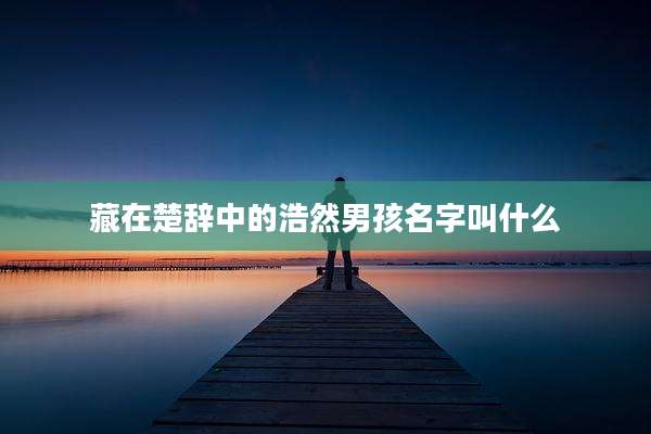 藏在楚辞中的浩然男孩名字叫什么