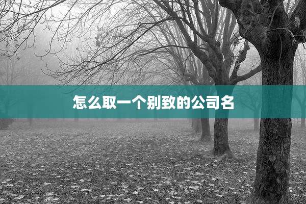 怎么取一个别致的公司名