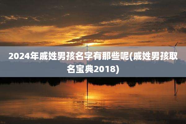 2024年戚姓男孩名字有那些呢(戚姓男孩取名宝典2018)