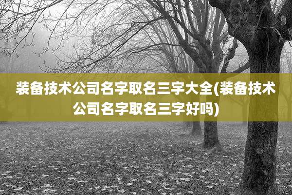 装备技术公司名字取名三字大全(装备技术公司名字取名三字好吗)