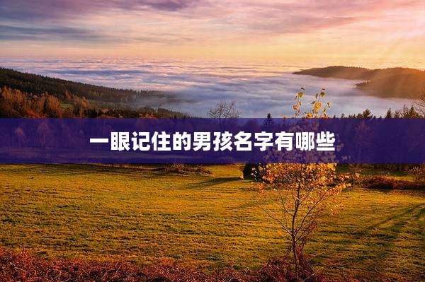 一眼记住的男孩名字有哪些