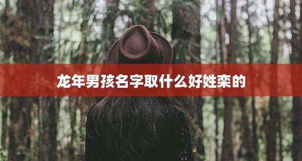 龙年男孩名字取什么好姓栾的