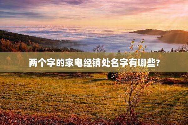 两个字的家电经销处名字有哪些?