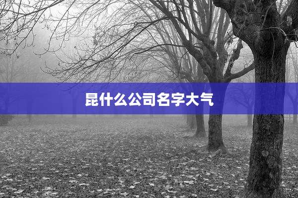 昆什么公司名字大气