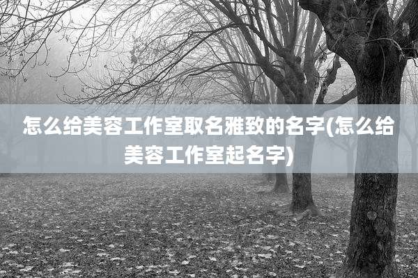 怎么给美容工作室取名雅致的名字(怎么给美容工作室起名字)
