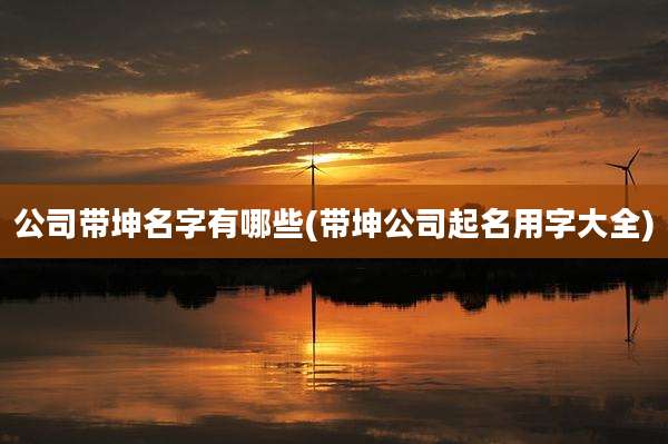 公司带坤名字有哪些(带坤公司起名用字大全)