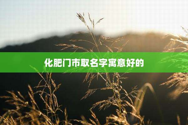 化肥门市取名字寓意好的