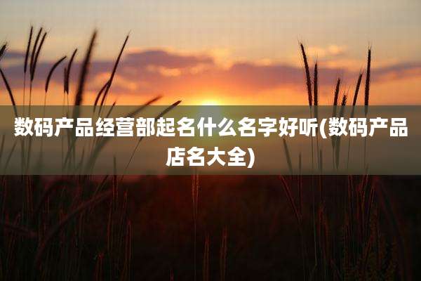 数码产品经营部起名什么名字好听(数码产品店名大全)