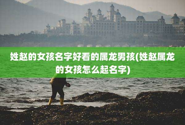 姓赵的女孩名字好看的属龙男孩(姓赵属龙的女孩怎么起名字)