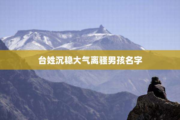 台姓沉稳大气离骚男孩名字
