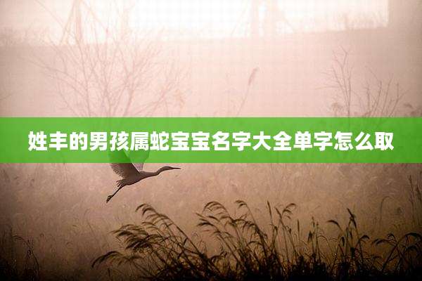 姓丰的男孩属蛇宝宝名字大全单字怎么取