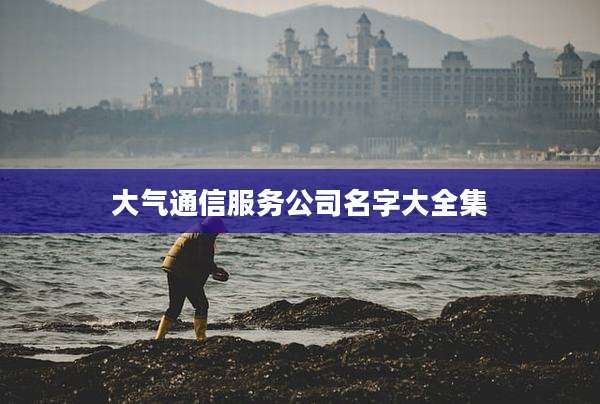 大气通信服务公司名字大全集