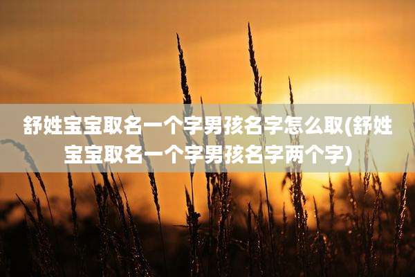 舒姓宝宝取名一个字男孩名字怎么取(舒姓宝宝取名一个字男孩名字两个字)