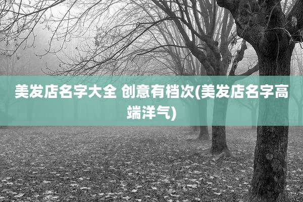 美发店名字大全 创意有档次(美发店名字高端洋气)