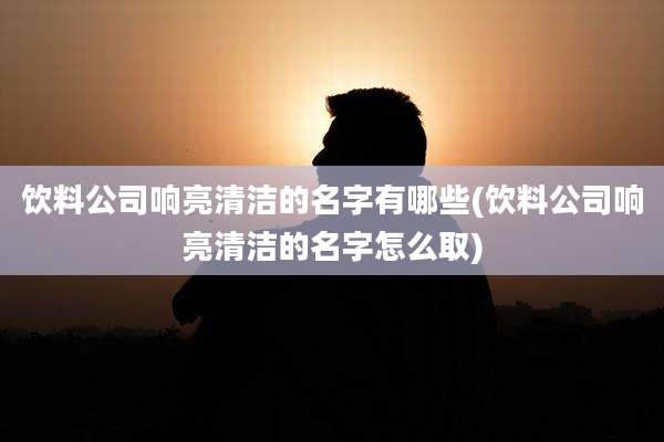 饮料公司响亮清洁的名字有哪些(饮料公司响亮清洁的名字怎么取)