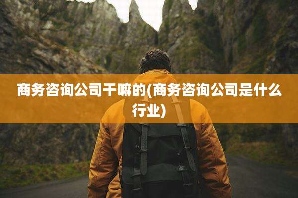 商务咨询公司干嘛的(商务咨询公司是什么行业)