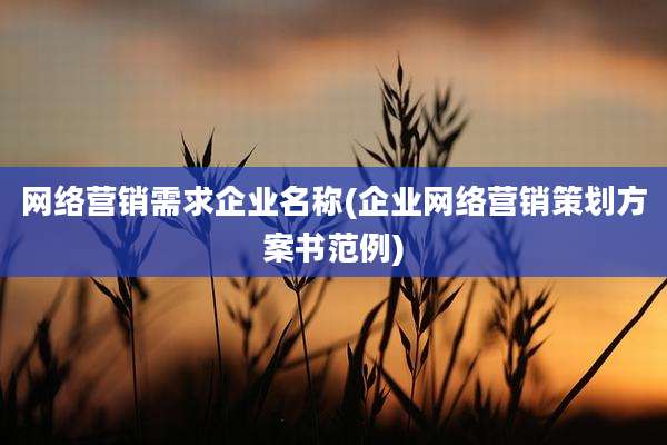 网络营销需求企业名称(企业网络营销策划方案书范例)