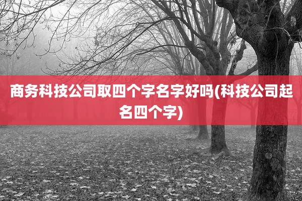 商务科技公司取四个字名字好吗(科技公司起名四个字)