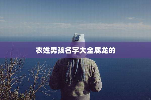 衣姓男孩名字大全属龙的