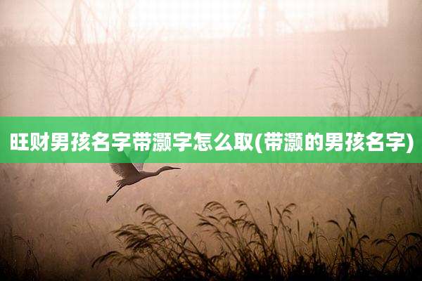 旺财男孩名字带灏字怎么取(带灏的男孩名字)