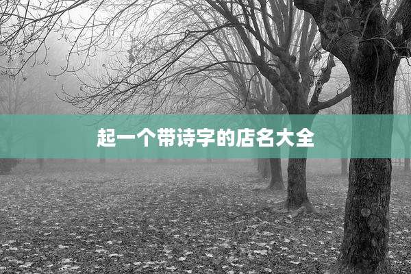 起一个带诗字的店名大全