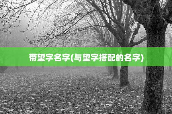 带望字名字(与望字搭配的名字)