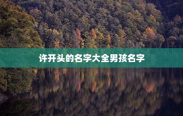 许开头的名字大全男孩名字