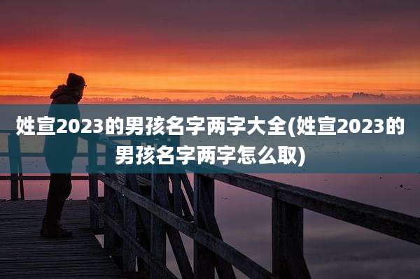 姓宣2023的男孩名字两字大全(姓宣2023的男孩名字两字怎么取)