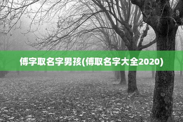 傅字取名字男孩(傅取名字大全2020)