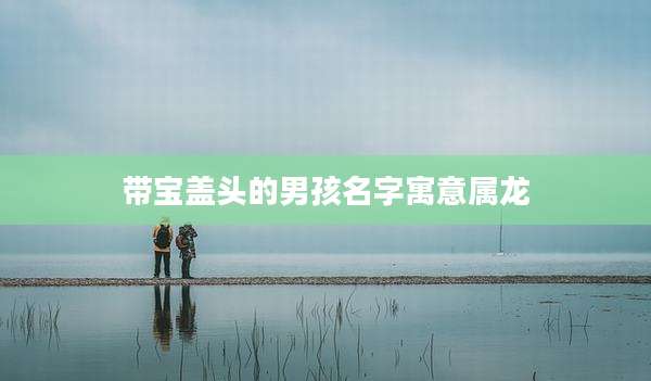 带宝盖头的男孩名字寓意属龙
