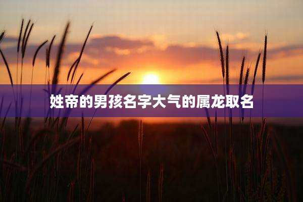 姓帝的男孩名字大气的属龙取名