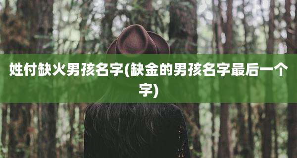 姓付缺火男孩名字(缺金的男孩名字最后一个字)