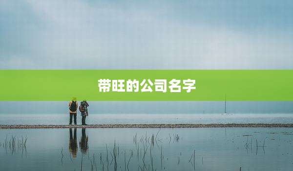 带旺的公司名字