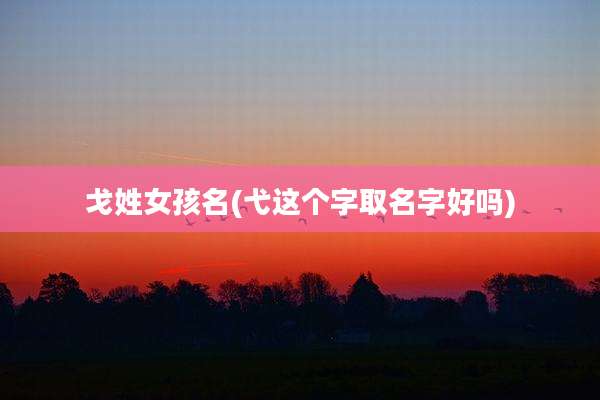 戈姓女孩名(弋这个字取名字好吗)