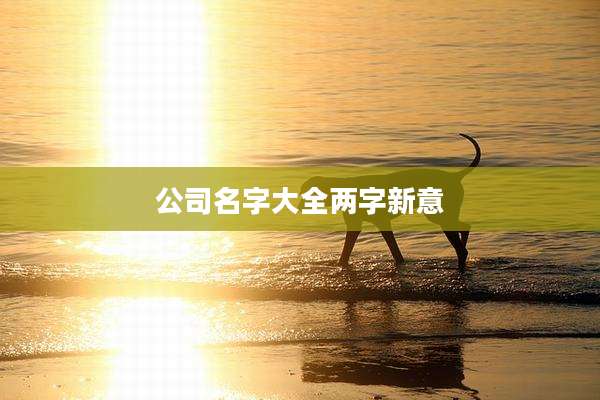 公司名字大全两字新意
