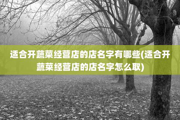 适合开蔬菜经营店的店名字有哪些(适合开蔬菜经营店的店名字怎么取)