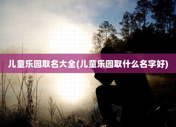 儿童乐园取名大全(儿童乐园取什么名字好)