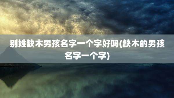 别姓缺木男孩名字一个字好吗(缺木的男孩名字一个字)