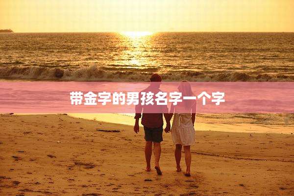 带金字的男孩名字一个字