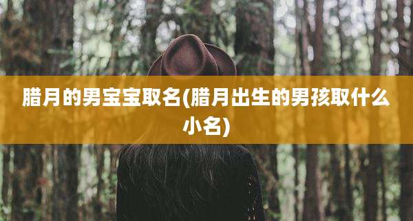 腊月的男宝宝取名(腊月出生的男孩取什么小名)