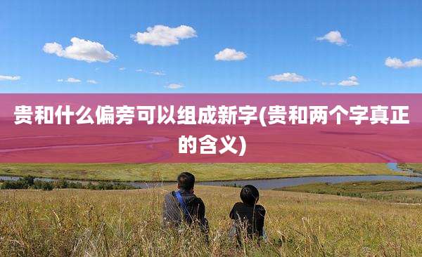 贵和什么偏旁可以组成新字(贵和两个字真正的含义)