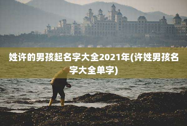 姓许的男孩起名字大全2021年(许姓男孩名字大全单字)