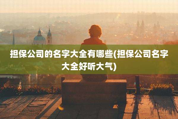 担保公司的名字大全有哪些(担保公司名字大全好听大气)